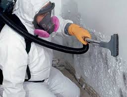 Best Mold Documentation for Insurance Claims  in Clairton, PA